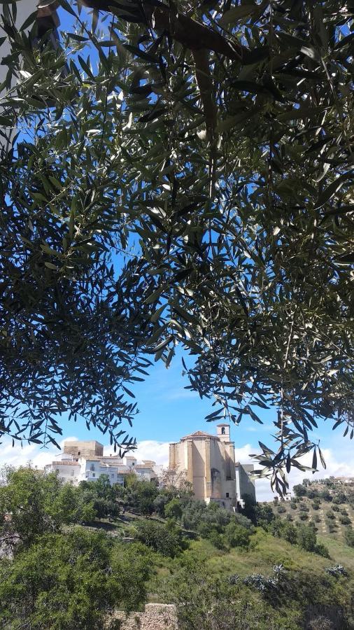 Apartamento El Carmen Setenil De Las Bodegas Esterno foto
