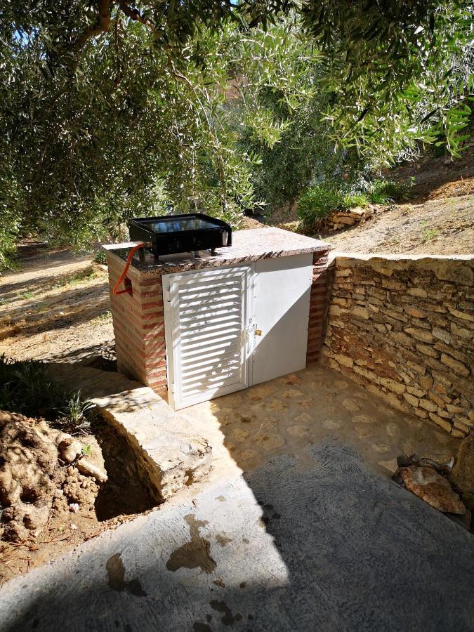 Apartamento El Carmen Setenil De Las Bodegas Esterno foto