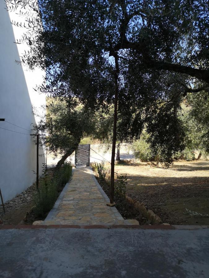 Apartamento El Carmen Setenil De Las Bodegas Esterno foto